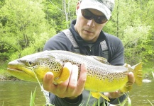 Rich Strolis 's Fly-fishing Picture of a Brown trout – Fly dreamers 