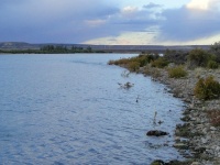 Foto de pesca con mosca