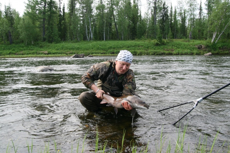 small taimen/  first fish in trip