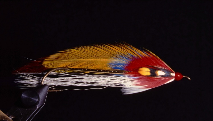 Will Ketch. A very interesting Stevens streamer with feathers of different length in the wing.