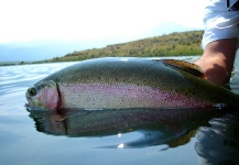  Foto de Pesca con Mosca de Trucha arcoiris compartida por Juan Antonio Pérez Figueroa – Fly dreamers