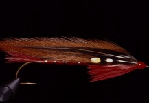 Marcelo Morales 's Fly-tying for Brook trout - Photo – Fly dreamers 