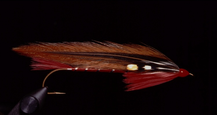 Royal Tiger, model from a private collection of Stevens flies. A very simple but quite attractive streamer I fished with very good results when looking for browns in Patagonia.