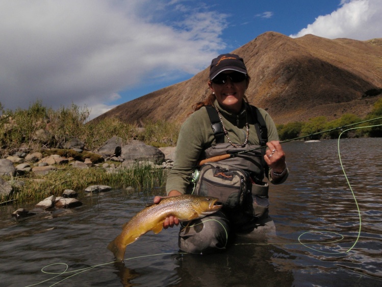 Trucha marrón pescada en el Río Malleo abajo, caña 3 con una emergente! marzo de 2013