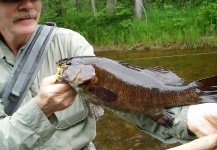 Smallmouth Bass on the Fly--In Michigan