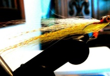 Great Fly-tying Photo by Victor Coutinho 