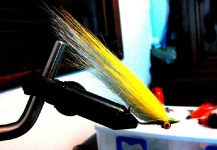 Victor Coutinho 's Fly-tying Pic – Fly dreamers 