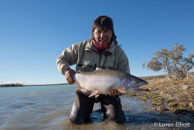 Temporada 2013 . Mayo. Pescando con un Americano , tuve este Hermoso ejemplar , de unos 7 o 8 kilos , una corrida de unos 70 metros al medio del rio , se me planto y empezo a cabecear en el Fondo , fui un poco paciente porque en ningun momento salto solam