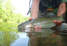  Fotografía de Pesca con Mosca de Trucha arcoiris por Massimo Feliziani – Fly dreamers 