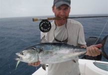 David Bullard 's Fly-fishing Pic of a False Albacore - Little Tunny – Fly dreamers 