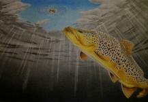Fly-fishing Art Image shared by Nick Laferriere – Fly dreamers