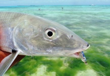 Segunda experiencia en Los Roques