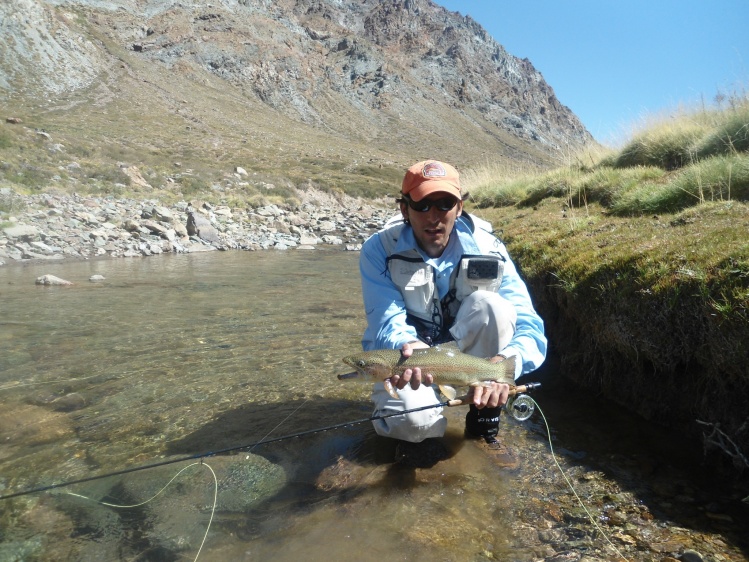 Trucha Arcoiris pescada con mosca en el A° Desecho - Malargue - Mendoza - Argentina