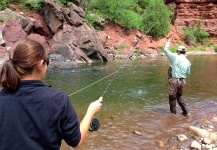 Pancho Winter 's Fly-fishing Photo of a Rainbow trout – Fly dreamers 