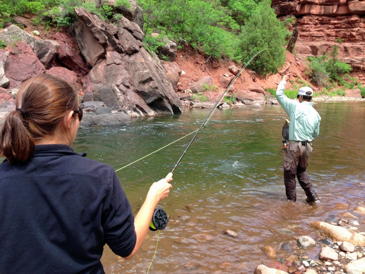 San Miguel River, Colorado - I guide for Telluride Outside