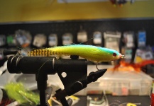 Nice Fly-tying Pic by Mario D'Andrea 