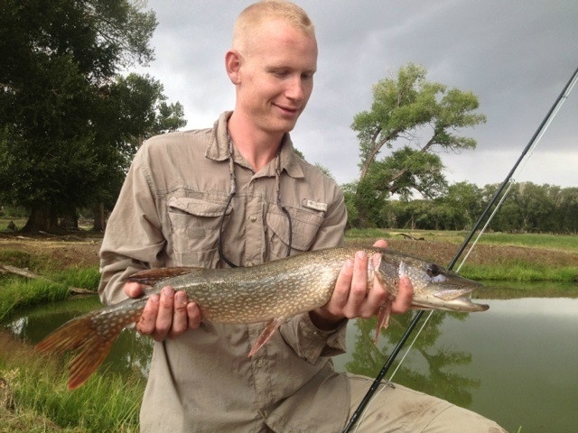 My first ever pike. 27 inches! Awesome fish!