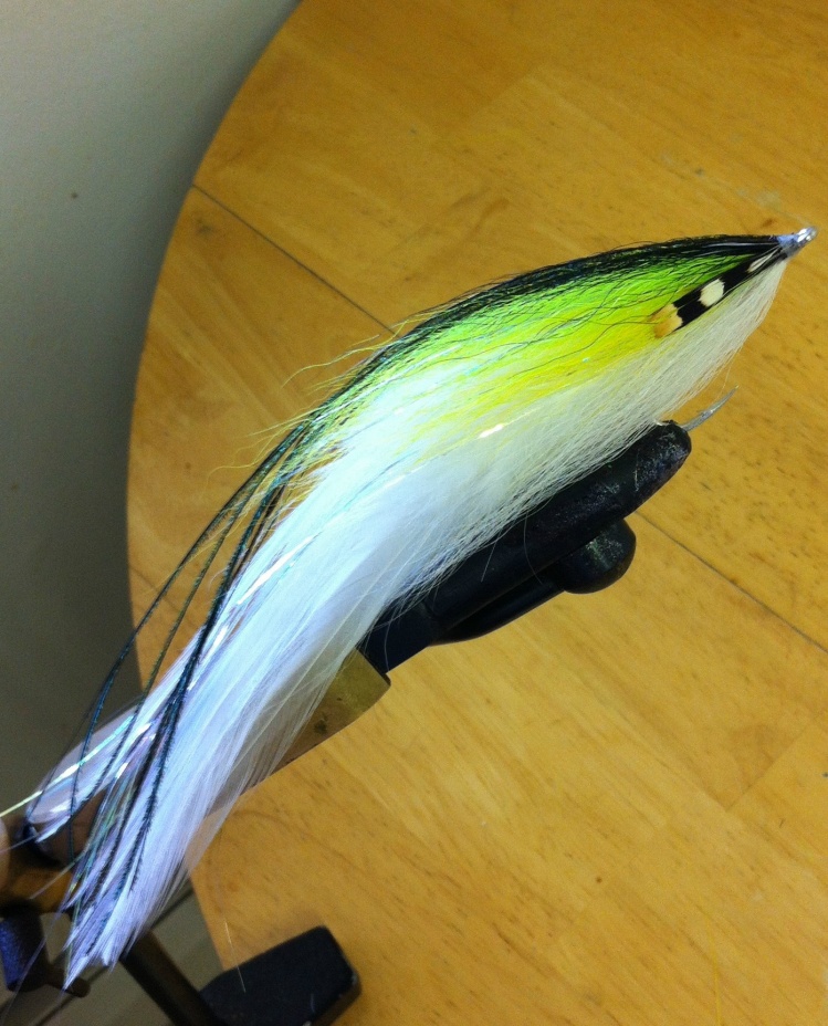 Northeast saltwater streamer