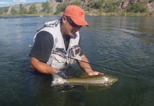 Adrian Andres Mahia Gargantini 's Fly-fishing Photo of a Rainbow trout – Fly dreamers 