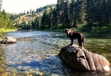 Cutthroat Fly-fishing Situation – Ryan Breault shared this Impressive Image in Fly dreamers 