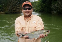 Fly-fishing Picture of Piabanha shared by Mau Velho – Fly dreamers