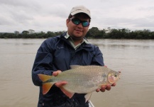 Mau Velho 's Fly-fishing Catch of a Pira Pita – Fly dreamers 