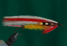 Fly for Brook trout shared by Marcelo Morales – Fly dreamers 