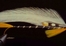Marcelo Morales 's Fly-tying for Landlocked Salmon - Picture – Fly dreamers 