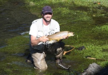 Fly-fishing Image of Brown trout shared by Mac Macagno – Fly dreamers
