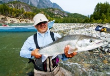 Fly-fishing Pic of Steelhead shared by Paolo Marta – Fly dreamers 