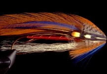 Marcelo Morales 's Fly for Brook trout - – Fly dreamers 