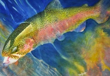 Fly-fishing Art for Rainbow trout - Photo shared by Timothy Hacker – Fly dreamers 