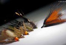 Sweet Fly-tying Picture by Nicolas Buoro 