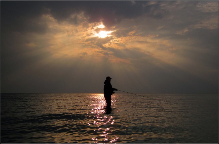 One of those days that you wish never ends, the fishing just went on forever and ever, the first large shoals of sand eels came close to the coast and in their wake the sea trout was hunting in a eating frenzy