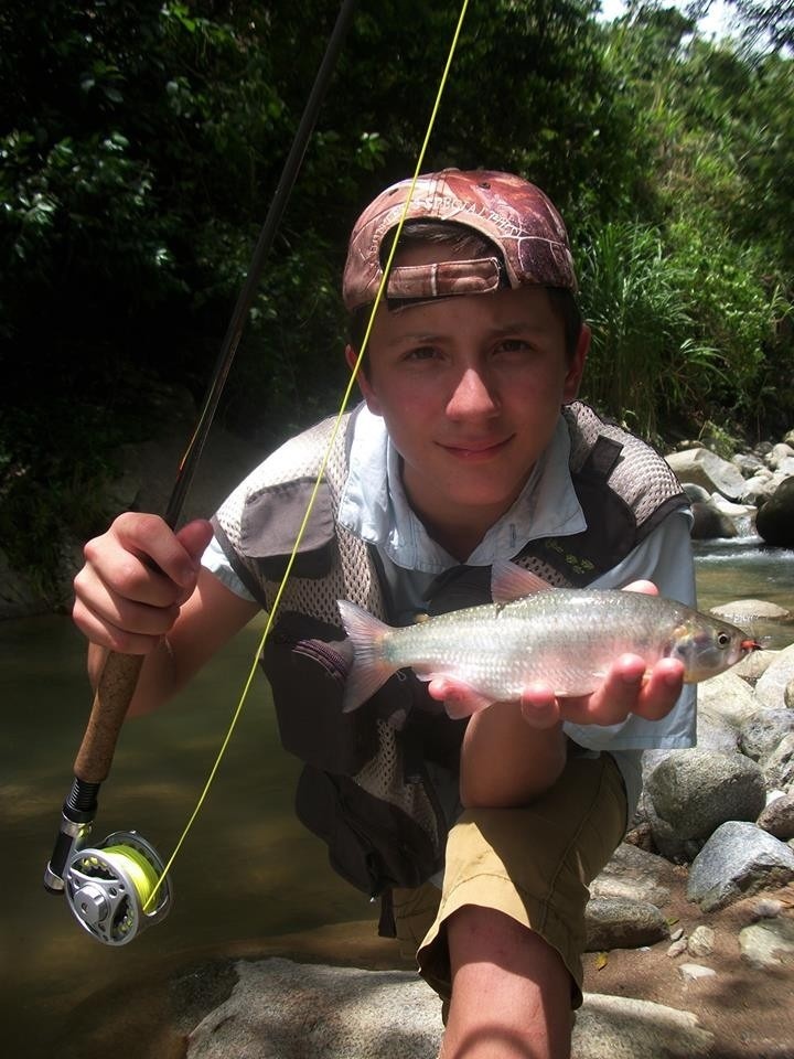 La Sabaleta perteneces a un grupo endémico de centro y Suramérica llamado Brycon y en Colombia se encuentran distribuidas varias especies de este género, entre ellas se encuentra la Sabaleta Criolla  cuyo nombre científico es Brycon Henni.

