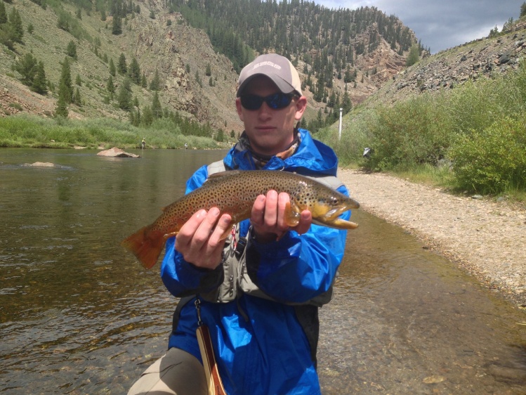 A beautiful brown with a nice hooked jaw.  I took this fish on a size 16 Parachute Adams.  It was my first fish on top.