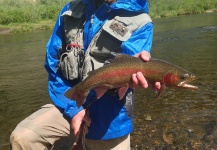  Foto de Pesca con Mosca de Trucha arcoiris compartida por Peter Breeden – Fly dreamers