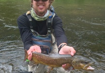  Fotografía de Pesca con Mosca de Salmo trutta compartida por Peter Breeden – Fly dreamers