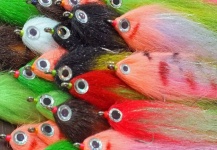 Cristian Mammi 's Fly for Peacock Bass - Image – Fly dreamers 