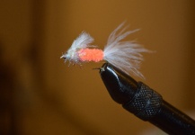 Fly for Rainbow trout - Picture shared by Alfredo Juncos – Fly dreamers