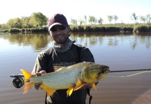 Mauro Gil 's Fly-fishing Pic of a Golden Dorado – Fly dreamers 