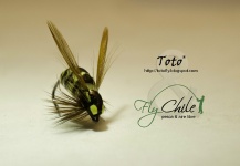 Rodrigo Torres 's Cool Fly-tying Picture – Fly dreamers 