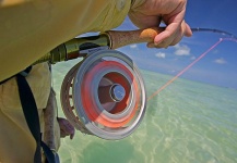  Fotografía de Pesca con Mosca de Dorado (Mahi Mahi) compartida por Ed Hoy – Fly dreamers