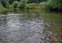 A day fly fishing on the Viroin (Belgium Ardennes) with friends of the club