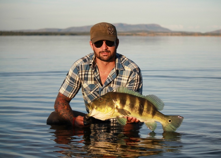 Tucunaré azul - Cichla piquiti