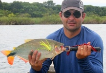 Fly-fishing Picture of Matrinxá shared by Rafael Costa – Fly dreamers