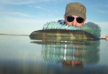 Rafael Costa 's Fly-fishing Picture of a Peacock Bass – Fly dreamers 