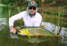 Rafael Costa 's Fly-fishing Picture of a Salminus franciscanus – Fly dreamers 
