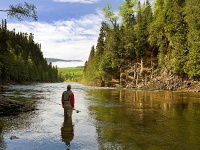 Fly fishing picture