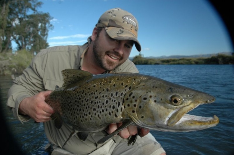 A big Brownie about to swim free